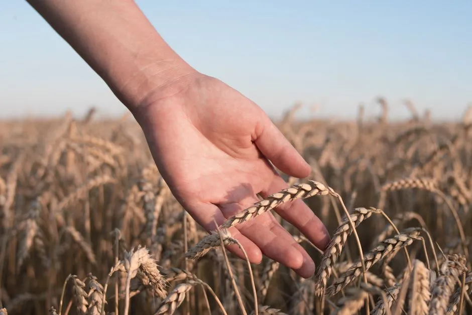 Close crop of a hand typing a digit string back into a phone keypad during a number memory round